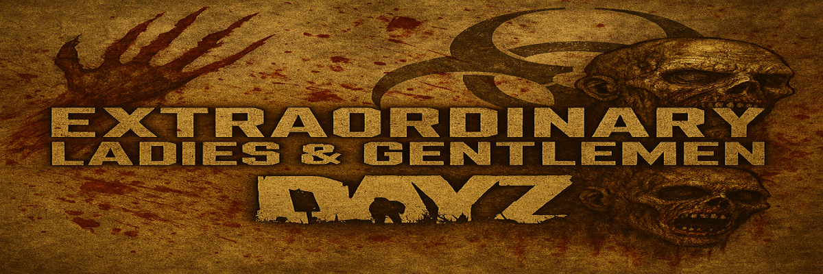 DayZ Server