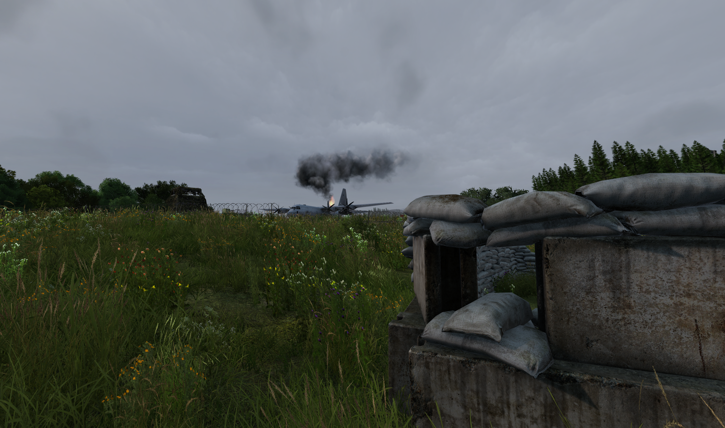 Server Bild